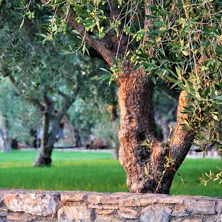 Liotrivi Historical Mansion And Boutique