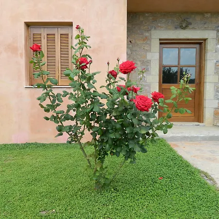 Liotrivi Historical Mansion And Boutique 4* Μονεμβασιά