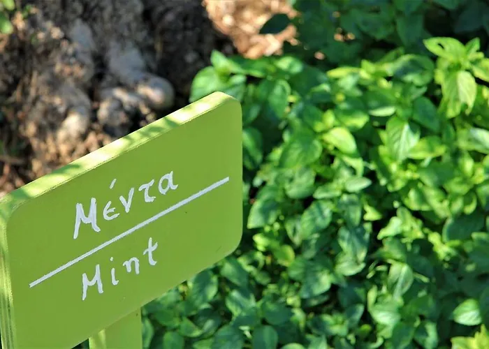 Liotrivi Historical Mansion And Boutique Отель Монемвазия