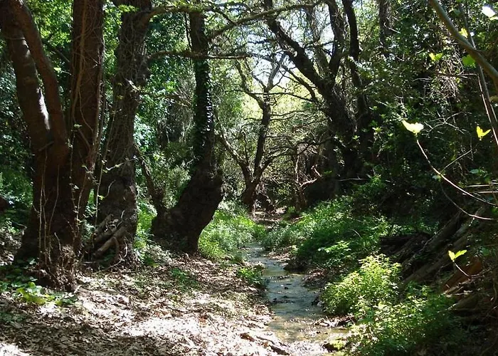 Ξενοδοχείο Liotrivi Historical Mansion And Boutique 4*